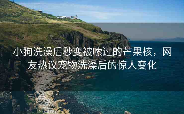 小狗洗澡后秒變被嗦過的芒果核，網(wǎng)友熱議寵物洗澡后的驚人變化
