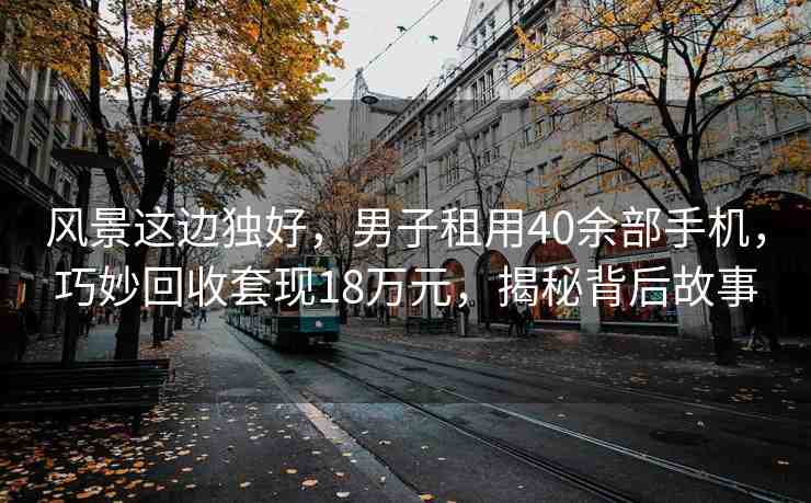 風(fēng)景這邊獨好，男子租用40余部手機，巧妙回收套現(xiàn)18萬元，揭秘背后故事