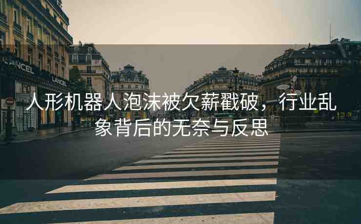 人形機器人泡沫被欠薪戳破，行業(yè)亂象背后的無奈與反思