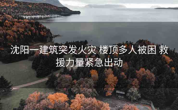 沈陽一建筑突發(fā)火災(zāi) 樓頂多人被困 救援力量緊急出動(dòng)