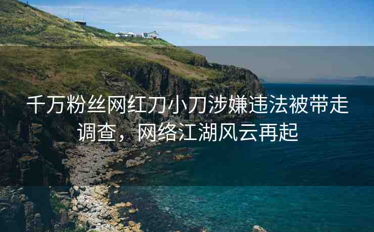 千萬粉絲網(wǎng)紅刀小刀涉嫌違法被帶走調(diào)查，網(wǎng)絡江湖風云再起