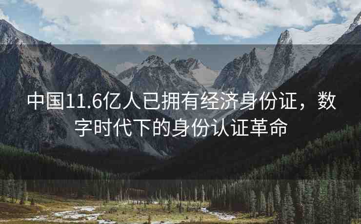 中國11.6億人已擁有經(jīng)濟身份證，數(shù)字時代下的身份認證革命