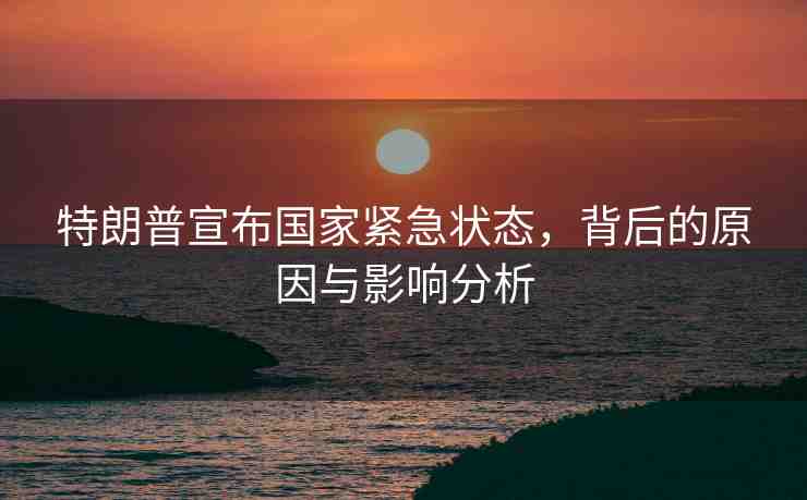 特朗普宣布國家緊急狀態(tài)，背后的原因與影響分析