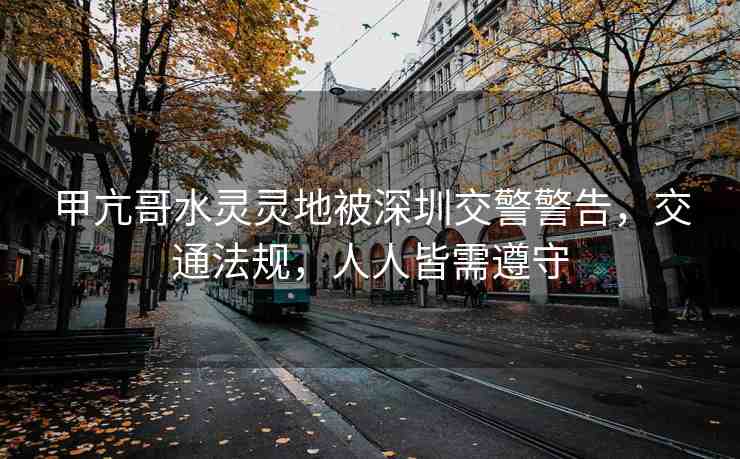 甲亢哥水靈靈地被深圳交警警告，交通法規(guī)，人人皆需遵守