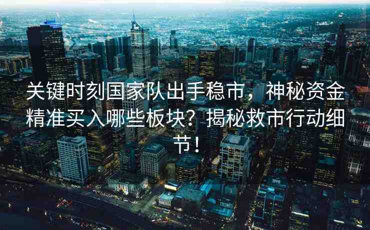 關(guān)鍵時(shí)刻國家隊(duì)出手穩(wěn)市，神秘資金精準(zhǔn)買入哪些板塊？揭秘救市行動(dòng)細(xì)節(jié)！