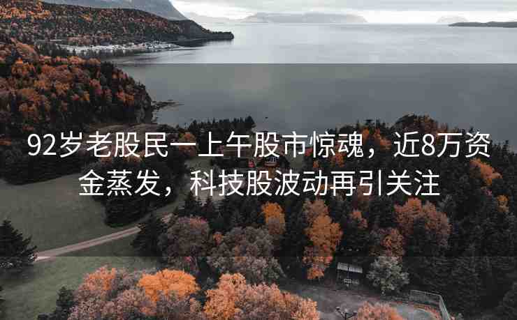 92歲老股民一上午股市驚魂，近8萬資金蒸發(fā)，科技股波動再引關(guān)注