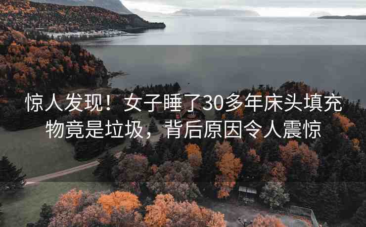 驚人發(fā)現(xiàn)！女子睡了30多年床頭填充物竟是垃圾，背后原因令人震驚