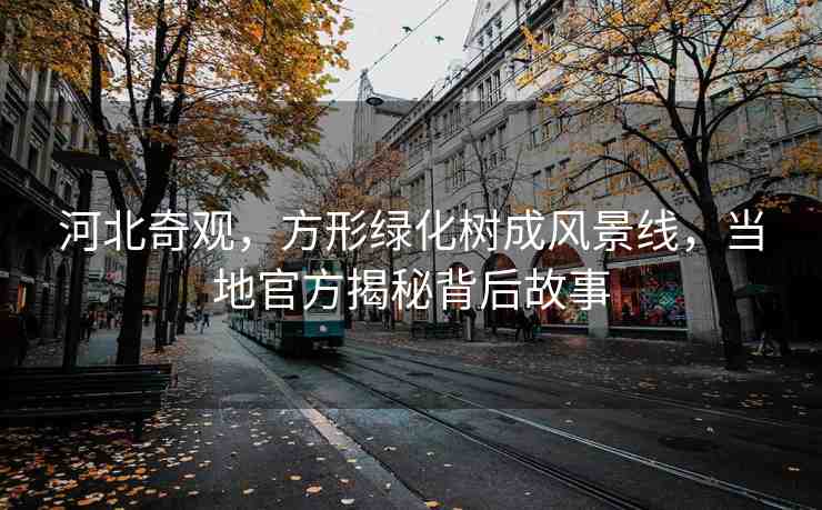 河北奇觀,方形綠化樹成風(fēng)景線,當(dāng)?shù)毓俜浇颐乇澈蠊适? alt=