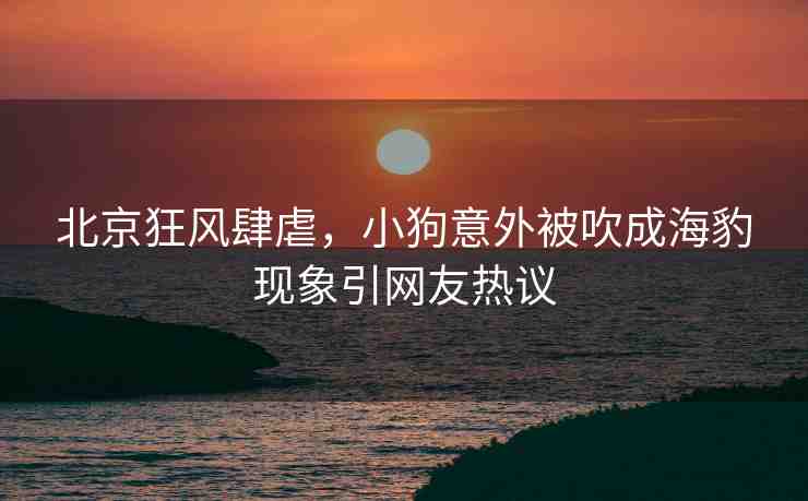 北京狂風(fēng)肆虐，小狗意外被吹成海豹現(xiàn)象引網(wǎng)友熱議
