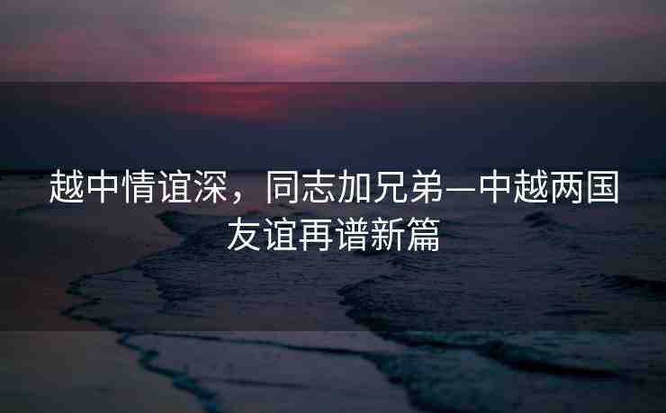 越中情誼深，同志加兄弟—中越兩國(guó)友誼再譜新篇