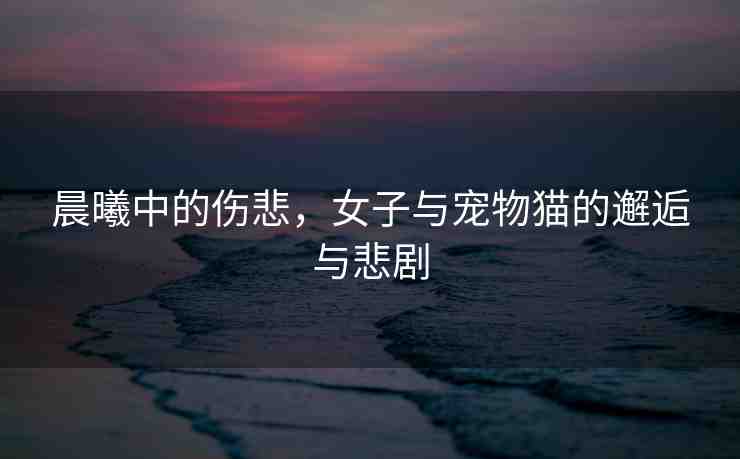 晨曦中的傷悲，女子與寵物貓的邂逅與悲劇