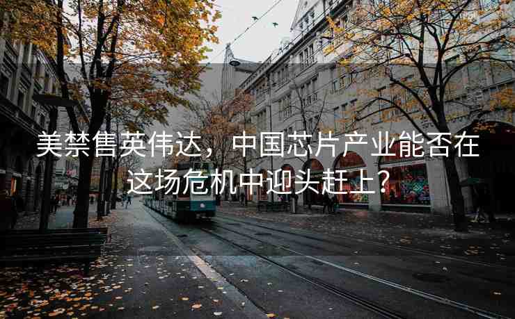 美禁售英偉達(dá)，中國(guó)芯片產(chǎn)業(yè)能否在這場(chǎng)危機(jī)中迎頭趕上？