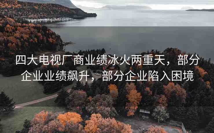 四大電視廠商業(yè)績冰火兩重天，部分企業(yè)業(yè)績飆升，部分企業(yè)陷入困境