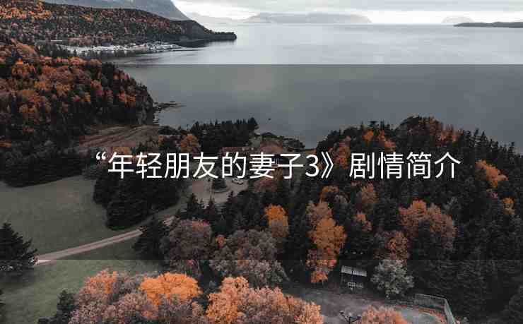 “年輕朋友的妻子3》劇情簡介