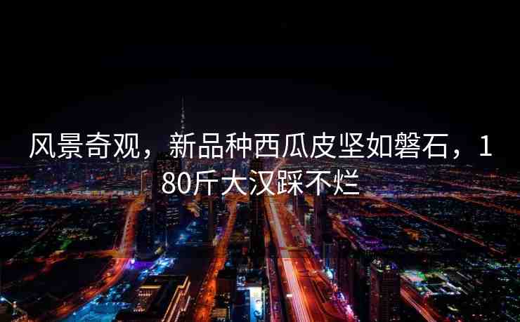風(fēng)景奇觀，新品種西瓜皮堅(jiān)如磐石，180斤大漢踩不爛