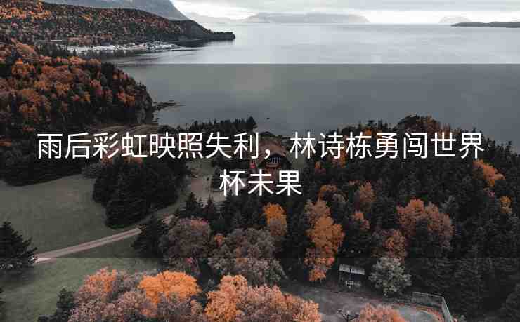 雨后彩虹映照失利，林詩棟勇闖世界杯未果