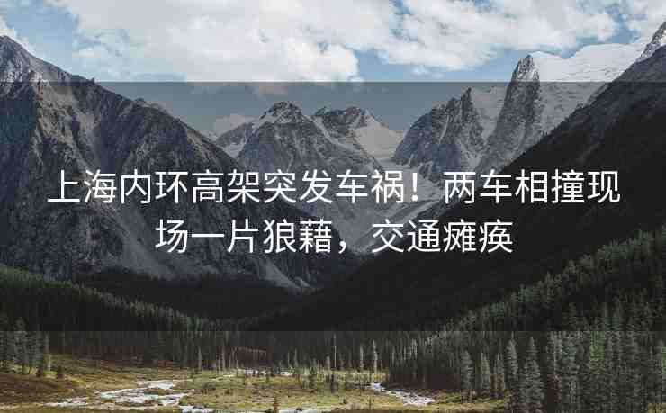 上海內(nèi)環(huán)高架突發(fā)車禍！兩車相撞現(xiàn)場一片狼藉，交通癱瘓