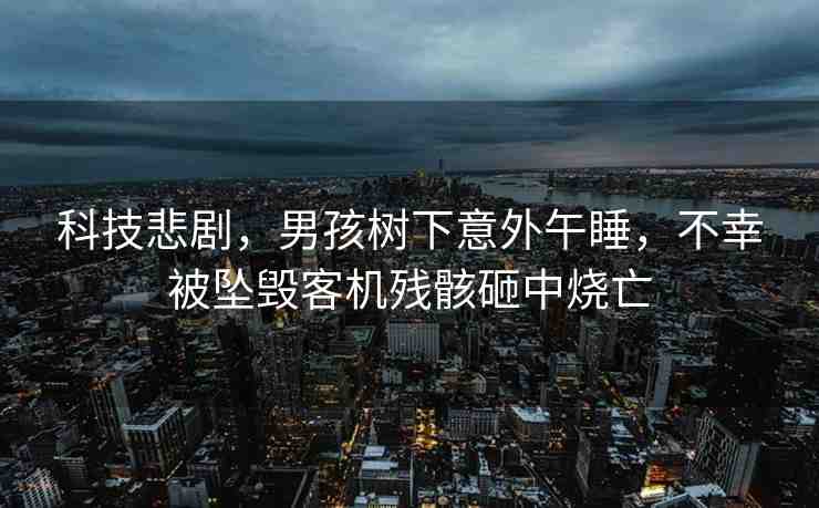 科技悲劇，男孩樹下意外午睡，不幸被墜毀客機殘骸砸中燒亡