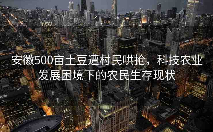 安徽500畝土豆遭村民哄搶?zhuān)萍嫁r(nóng)業(yè)發(fā)展困境下的農(nóng)民生存現(xiàn)狀