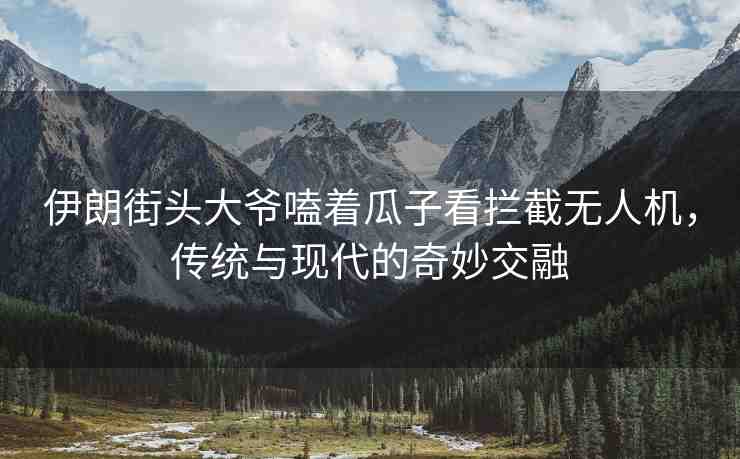 伊朗街頭大爺嗑著瓜子看攔截?zé)o人機(jī)，傳統(tǒng)與現(xiàn)代的奇妙交融