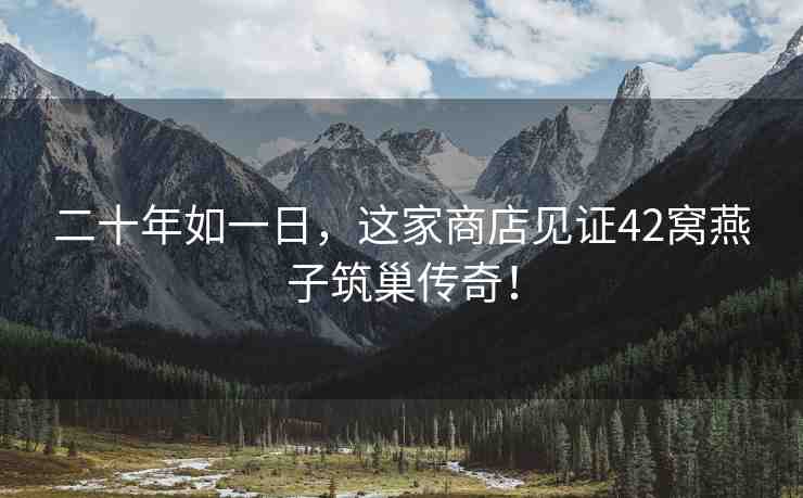 二十年如一日，這家商店見證42窩燕子筑巢傳奇！