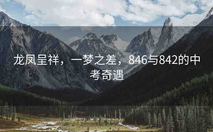 龍鳳呈祥，一夢之差，846與842的中考奇遇