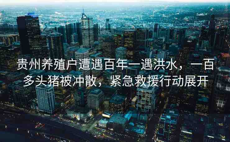 貴州養(yǎng)殖戶遭遇百年一遇洪水，一百多頭豬被沖散，緊急救援行動(dòng)展開