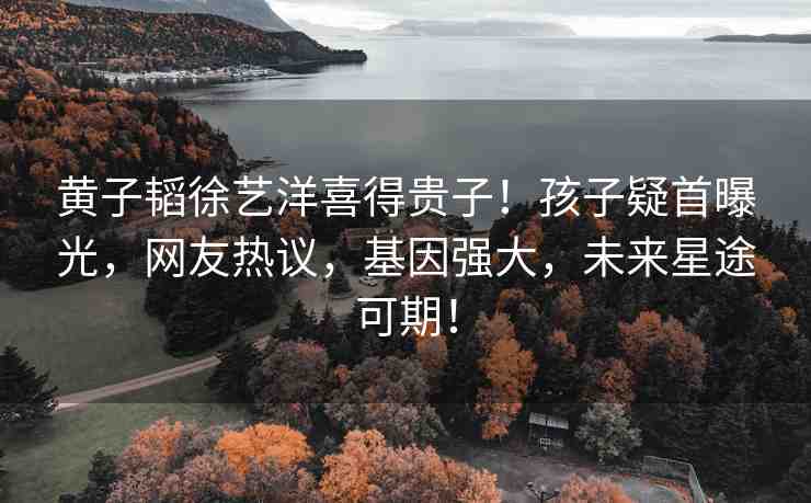 黃子韜徐藝洋喜得貴子！孩子疑首曝光，網(wǎng)友熱議，基因強(qiáng)大，未來星途可期！