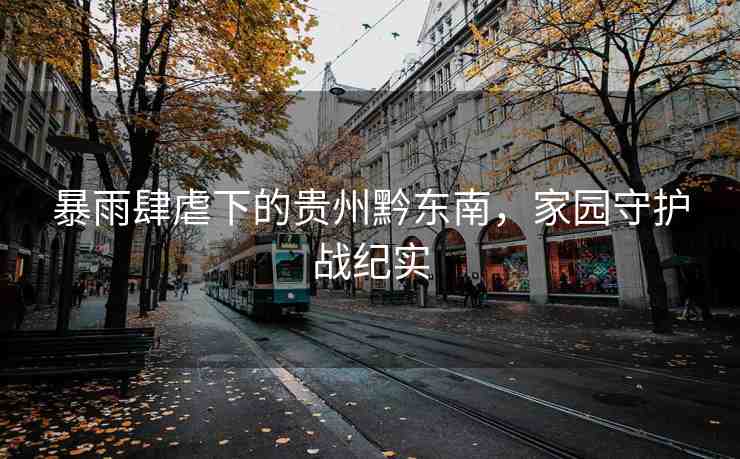 暴雨肆虐下的貴州黔東南，家園守護(hù)戰(zhàn)紀(jì)實(shí)