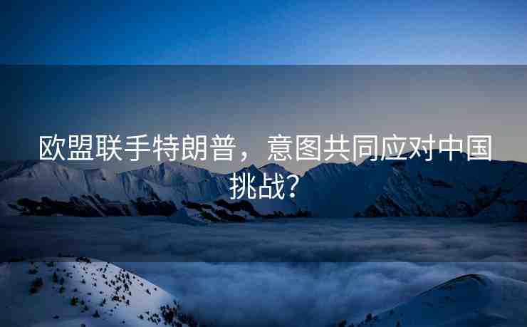 歐盟聯(lián)手特朗普，意圖共同應(yīng)對中國挑戰(zhàn)？