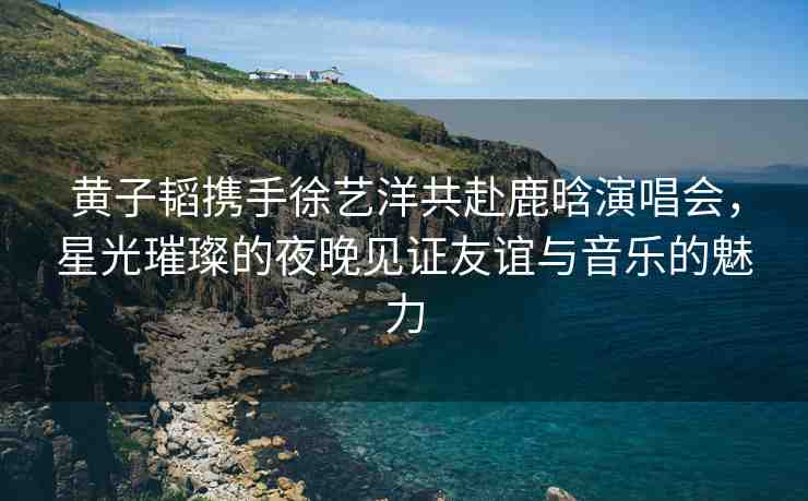 黃子韜攜手徐藝洋共赴鹿晗演唱會，星光璀璨的夜晚見證友誼與音樂的魅力