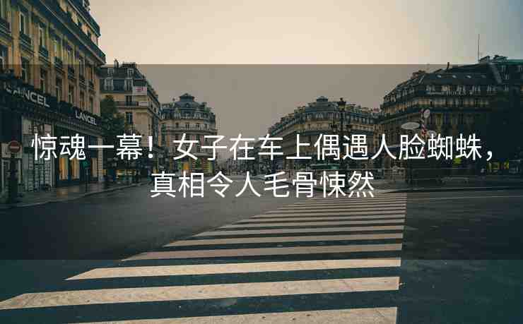 驚魂一幕！女子在車上偶遇人臉蜘蛛，真相令人毛骨悚然
