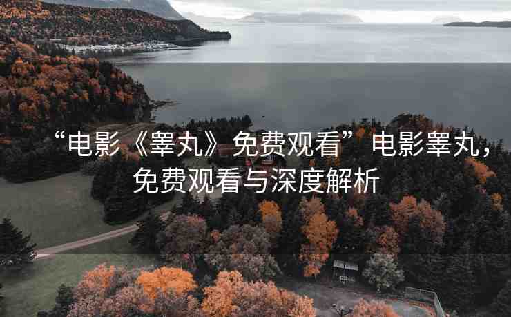 “電影《睪丸》免費觀看”電影睪丸，免費觀看與深度解析