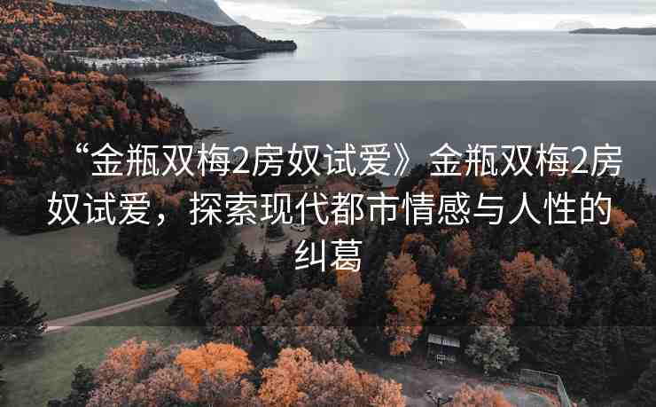 “金瓶雙梅2房奴試愛》金瓶雙梅2房奴試愛，探索現(xiàn)代都市情感與人性的糾葛