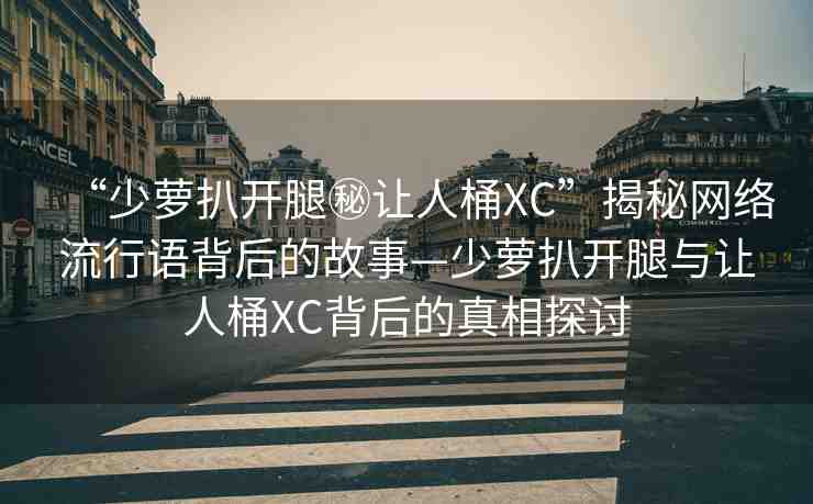 “少蘿扒開腿秘讓人桶XC”揭秘網(wǎng)絡(luò)流行語背后的故事—少蘿扒開腿與讓人桶XC背后的真相探討