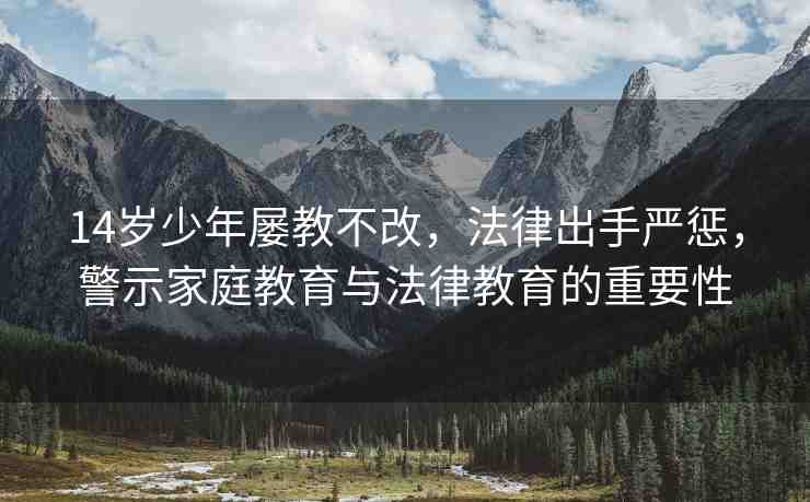 14歲少年屢教不改，法律出手嚴懲，警示家庭教育與法律教育的重要性