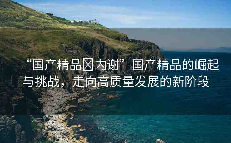 “國產(chǎn)精品?內(nèi)謝”國產(chǎn)精品的崛起與挑戰(zhàn)，走向高質(zhì)量發(fā)展的新階段