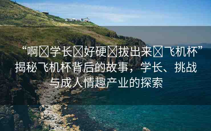 “啊?學(xué)長?好硬?拔出來?飛機(jī)杯”揭秘飛機(jī)杯背后的故事，學(xué)長、挑戰(zhàn)與成人情趣產(chǎn)業(yè)的探索