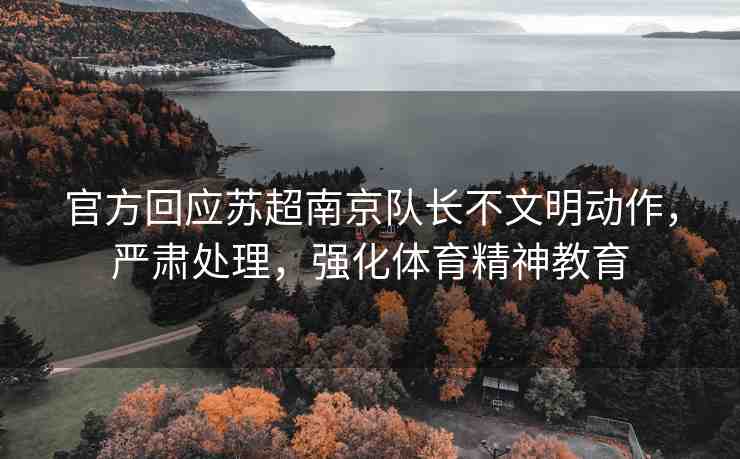 官方回應蘇超南京隊長不文明動作，嚴肅處理，強化體育精神教育