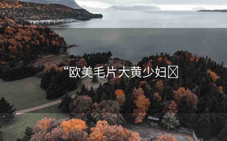 “歐美毛片大黃少婦?