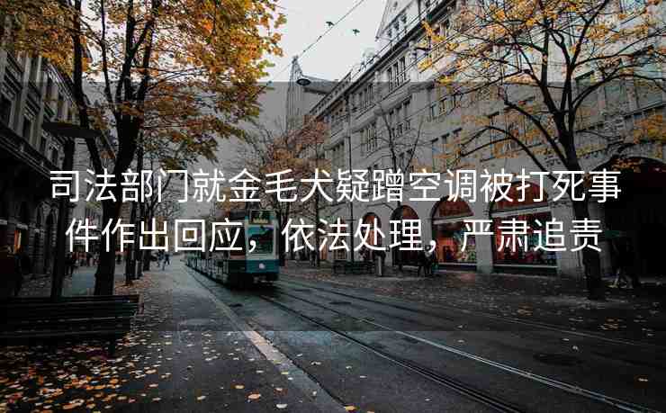 司法部門就金毛犬疑蹭空調(diào)被打死事件作出回應(yīng)，依法處理，嚴(yán)肅追責(zé)