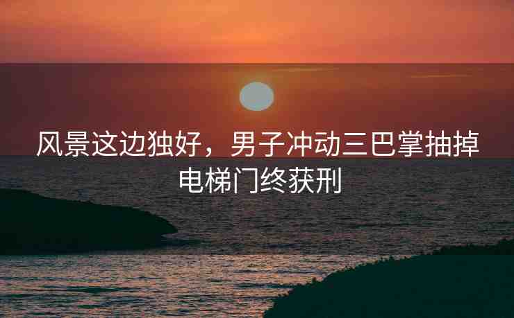 風(fēng)景這邊獨(dú)好，男子沖動(dòng)三巴掌抽掉電梯門終獲刑