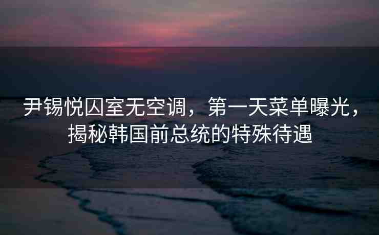 尹錫悅囚室無空調(diào)，第一天菜單曝光，揭秘韓國前總統(tǒng)的特殊待遇