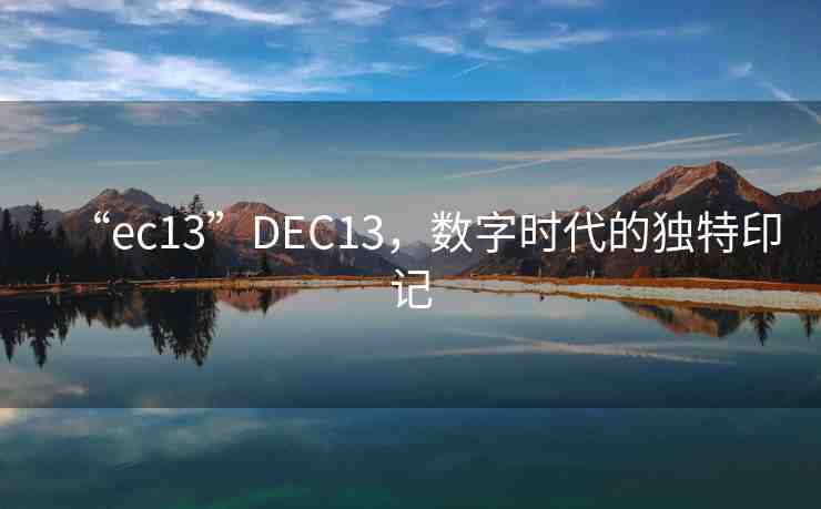 “ec13”DEC13，數(shù)字時代的獨特印記