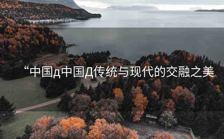 “中國д中國Д傳統(tǒng)與現(xiàn)代的交融之美