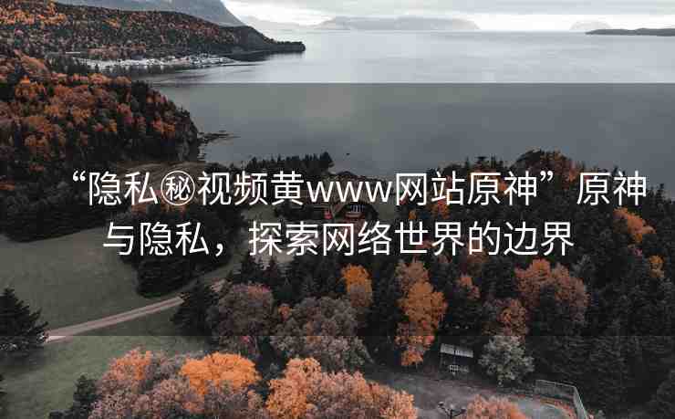 “隱私秘視頻黃www網(wǎng)站原神”原神與隱私，探索網(wǎng)絡(luò)世界的邊界