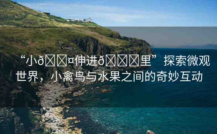 “小??伸進??里”探索微觀世界，小禽鳥與水果之間的奇妙互動
