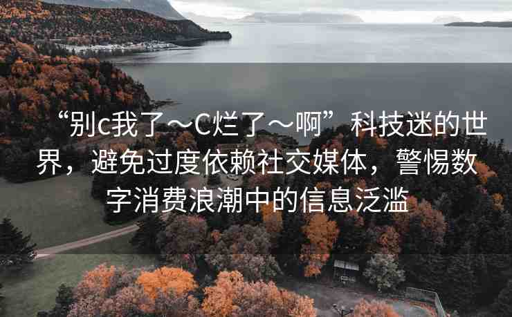 “別c我了～C爛了～啊”科技迷的世界，避免過(guò)度依賴(lài)社交媒體，警惕數(shù)字消費(fèi)浪潮中的信息泛濫