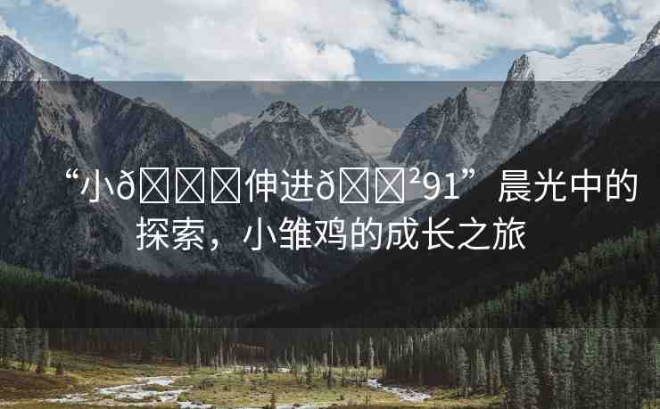 “小??伸進(jìn)??91”晨光中的探索，小雛雞的成長(zhǎng)之旅