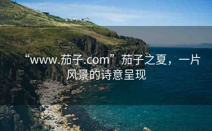 “www.茄子.com”茄子之夏，一片風景的詩意呈現(xiàn)